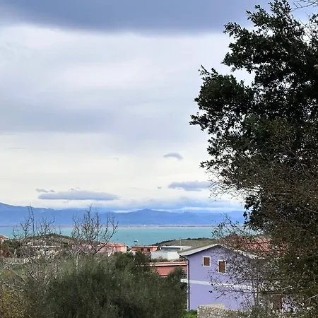 The Grey